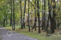Фотография Снегири ДО УПДП 8
