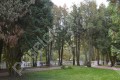 Фотография Снегири ДО УПДП 15