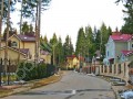 Фотография Покровский лес 4
