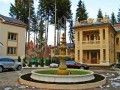 Фотография Покровский лес 5