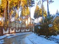 Фотография Покровский лес 8