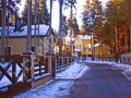 Фотография Покровский лес 9