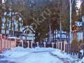 Фотография Покровский лес 10
