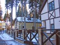Фотография Покровский лес 11