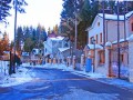 Фотография Покровский лес 12