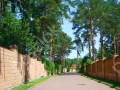 Фотография Ново-Александрово 1
