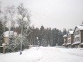 Фотография Добрыня 12