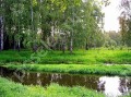 Фотография Клязьма 5