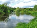 Фотография Елизарово-Park 7
