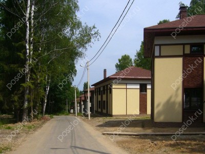 Фотография Лесная сказка