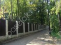Фотография Лесная сказка 6