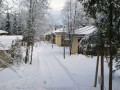 Фотография Лесная сказка 8