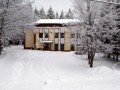 Фотография Лесная сказка 10