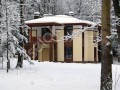 Фотография Лесная сказка 11