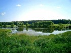 Фотография Цветочный