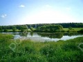 Фотография Цветочный 1