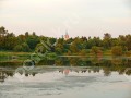 Фотография Цветочный 2