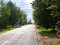 Фотография Цветочный 5