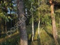 Фотография Поречье-2 1