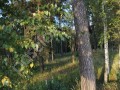 Фотография Поречье-2 2