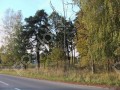 Фотография Поречье-2 3