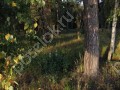 Фотография Поречье-2 5