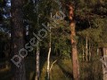 Фотография Поречье-2 6