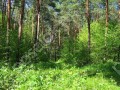 Фотография Поречье-2 8