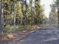 Фотография Поречье-2 11