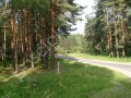 Фотография Остров Витенево 3
