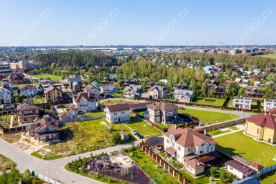 Фотография Черничные поля