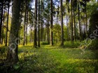 Фотография Полуостров