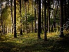 Фотография Полуостров
