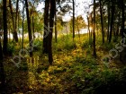 Фотография Полуостров