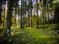 Фотография Полуостров 6
