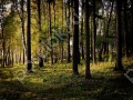 Фотография Полуостров 7