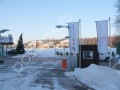 Фотография Лесная симфония 1