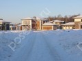 Фотография Лесная симфония 2