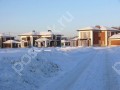 Фотография Лесная симфония 3