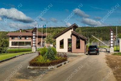 Фотография Лес и Река