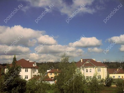 Фотография Поляна