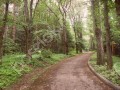 Фотография Поляна 5