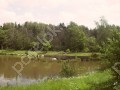 Фотография Поляна 7