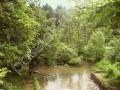 Фотография Поляна 8