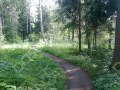 Фотография Поляна 10