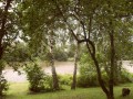 Фотография Поляна 11