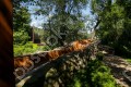 Фотография Олимпийская деревня 11