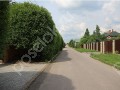 Фотография Согласие 4 5