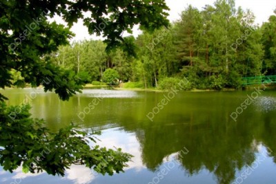 Фотография Чистые пруды-3