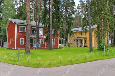 Фотография Княжий бор